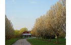 Property photo 43 - REAL ESTATE AUCTION! Grand Historic All Brick Home on 2.45 Acres!